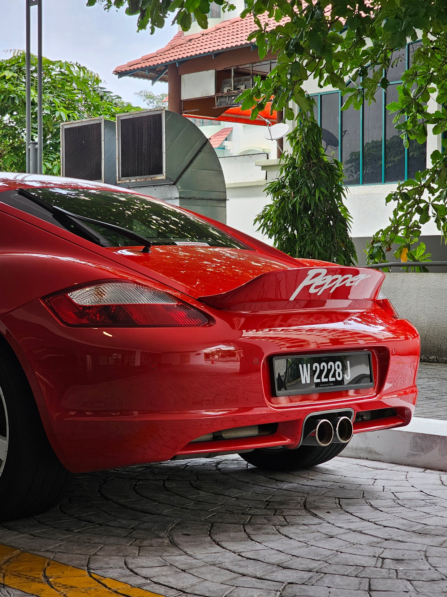 Diffuser Fins 987 Cayman