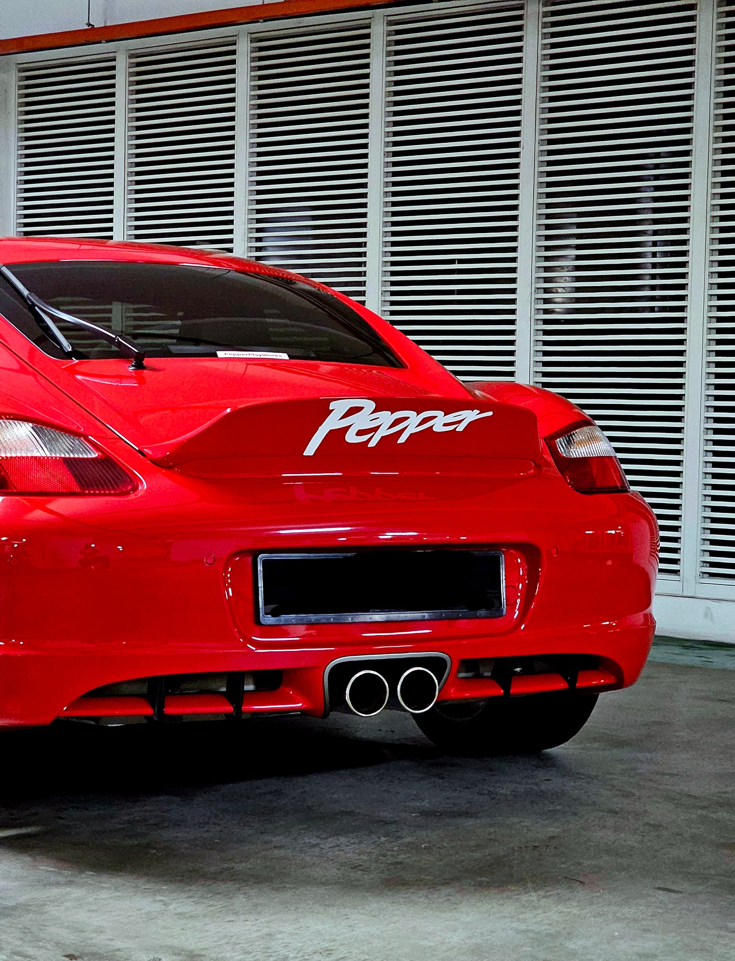 Diffuser Fins 987 Cayman