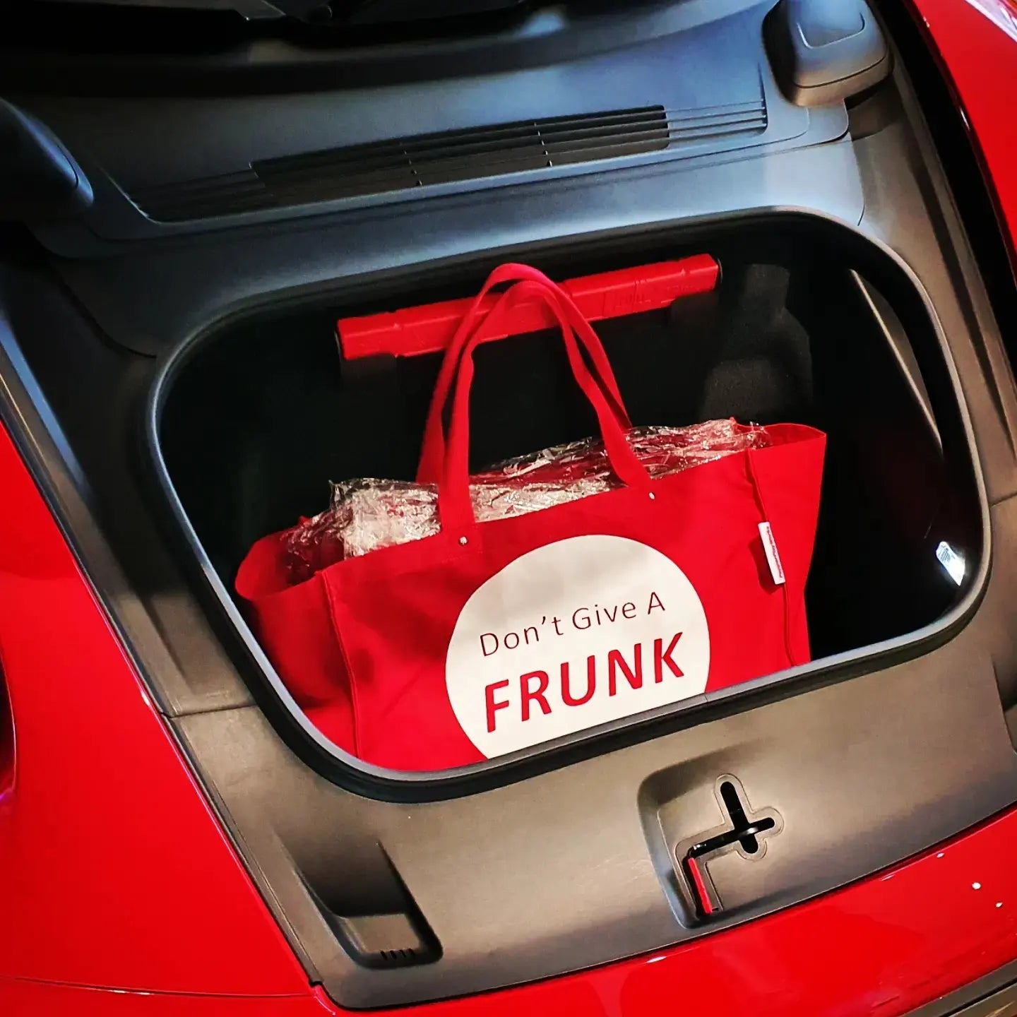 The Frunk Bag