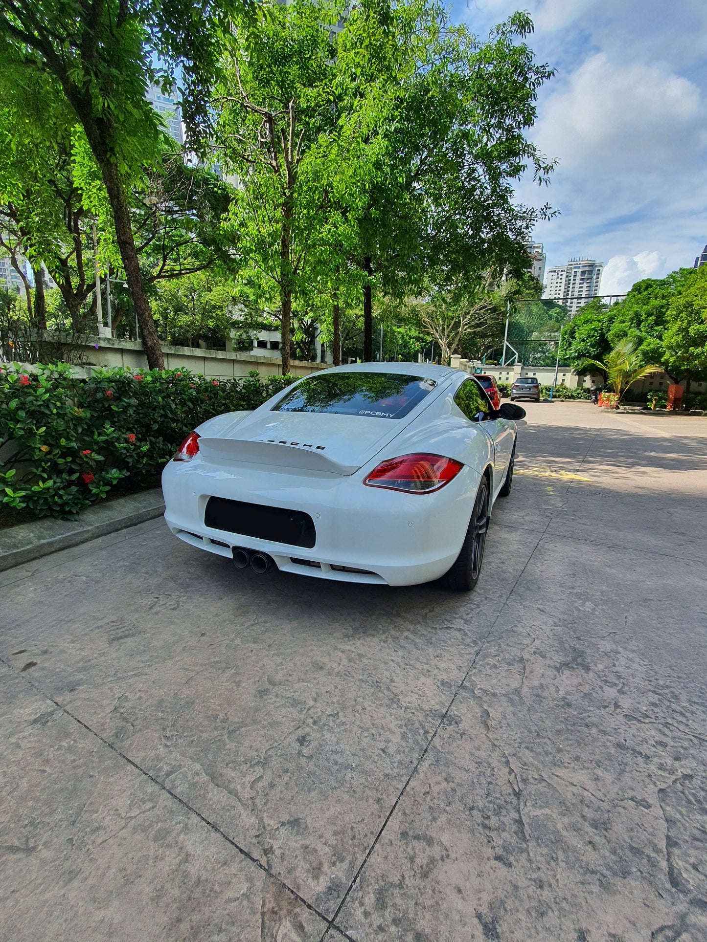 Porsche 987 Cayman Ducktail (custom painted) with FREE* Shipping